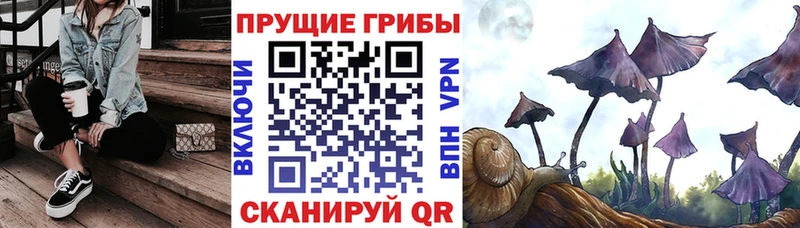 купить наркотик  Пенза  кракен сайт  Псилоцибиновые грибы прущие грибы 